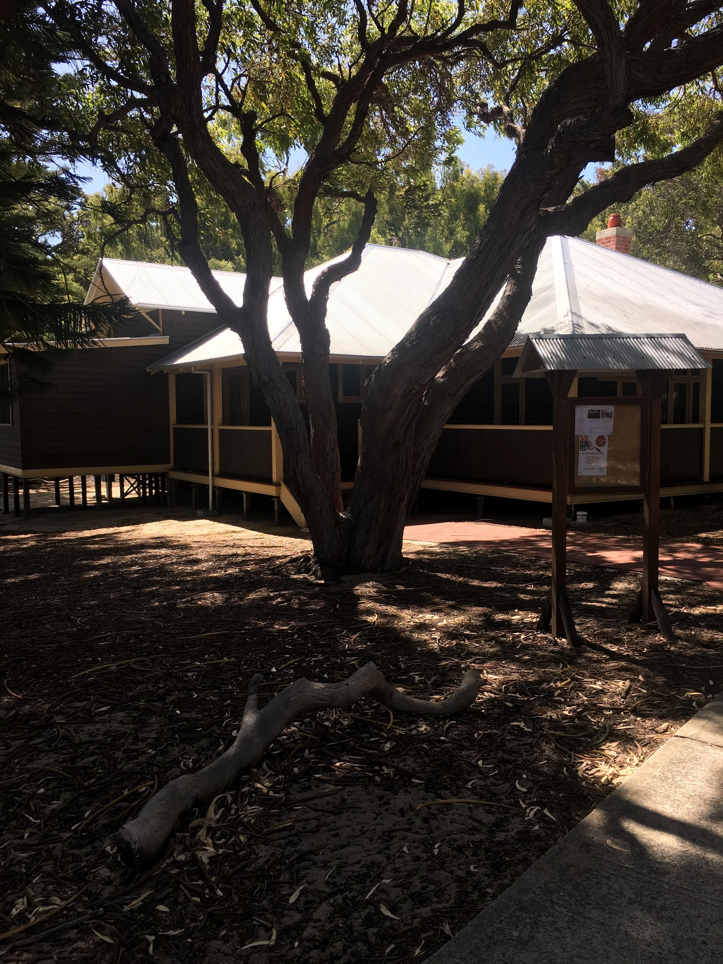 Mattie Furphy House - the writer's residency I've moved into