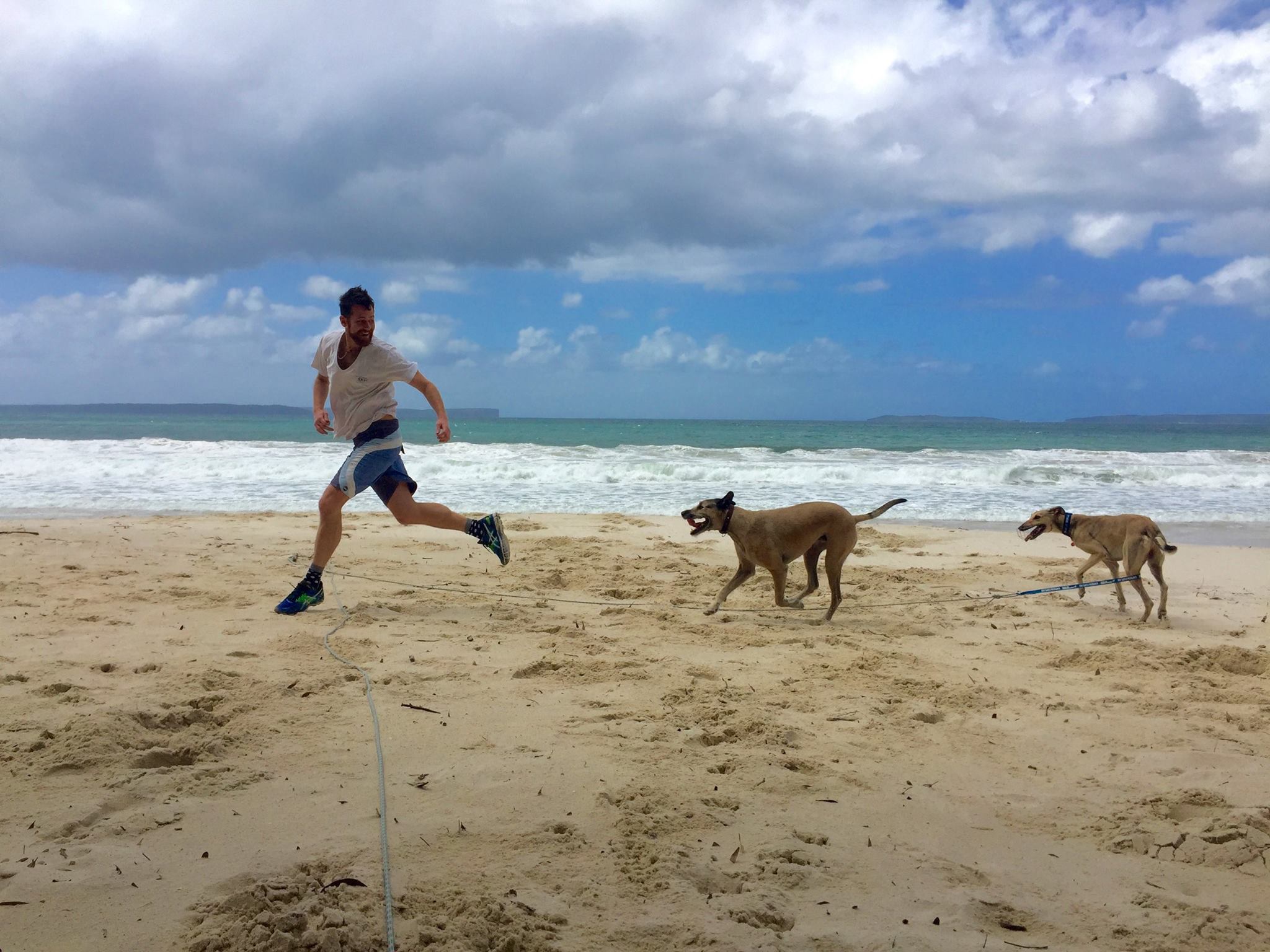 I'm running with Harvey and Liam at a beach near Huskisson, where Dean and I were camping for 5 days. Liam needs to wear a muzzle and be on a lead at all times as he is a rescue greyhound.