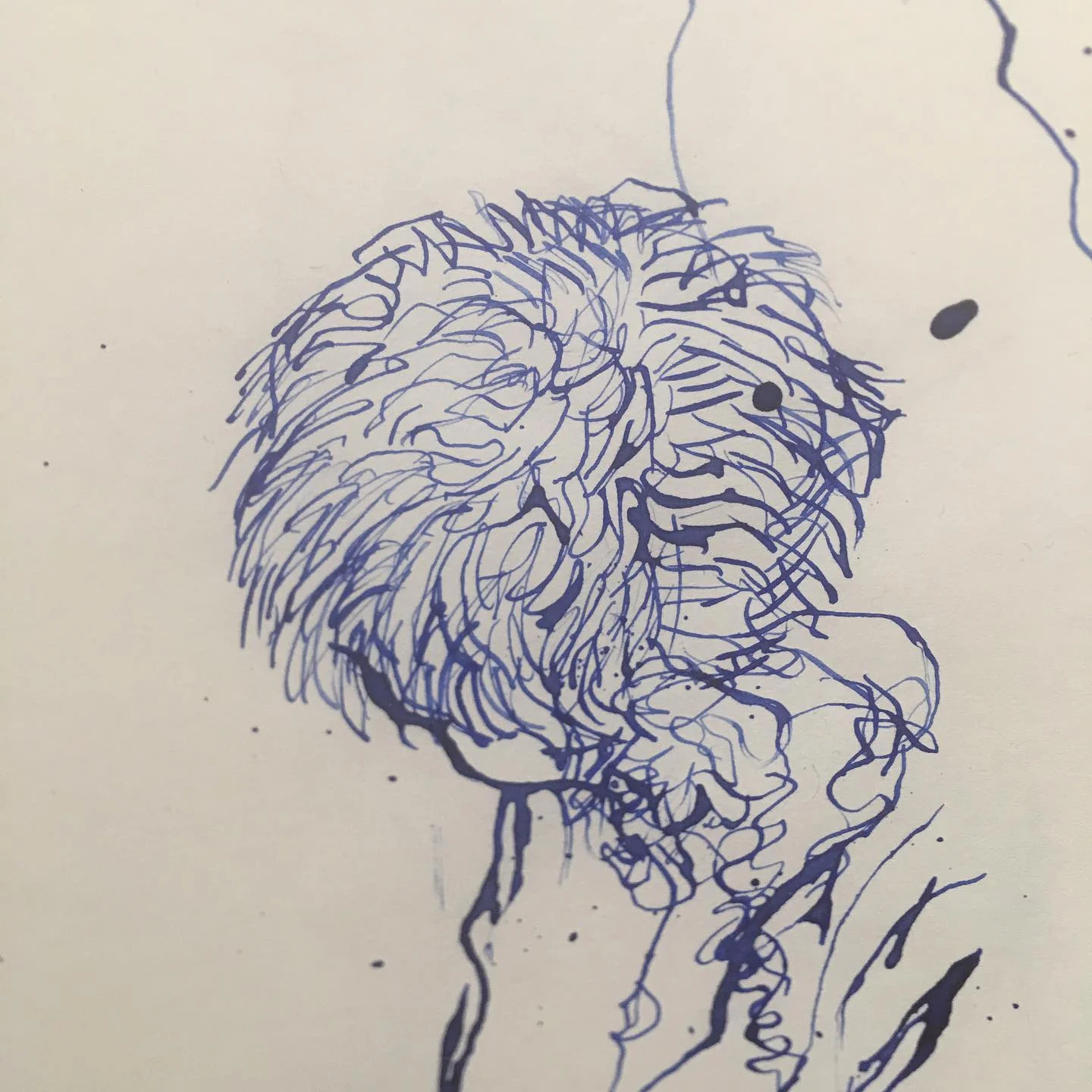An extract of Gareth Earnst’s drawing he made when I posed for him last week….