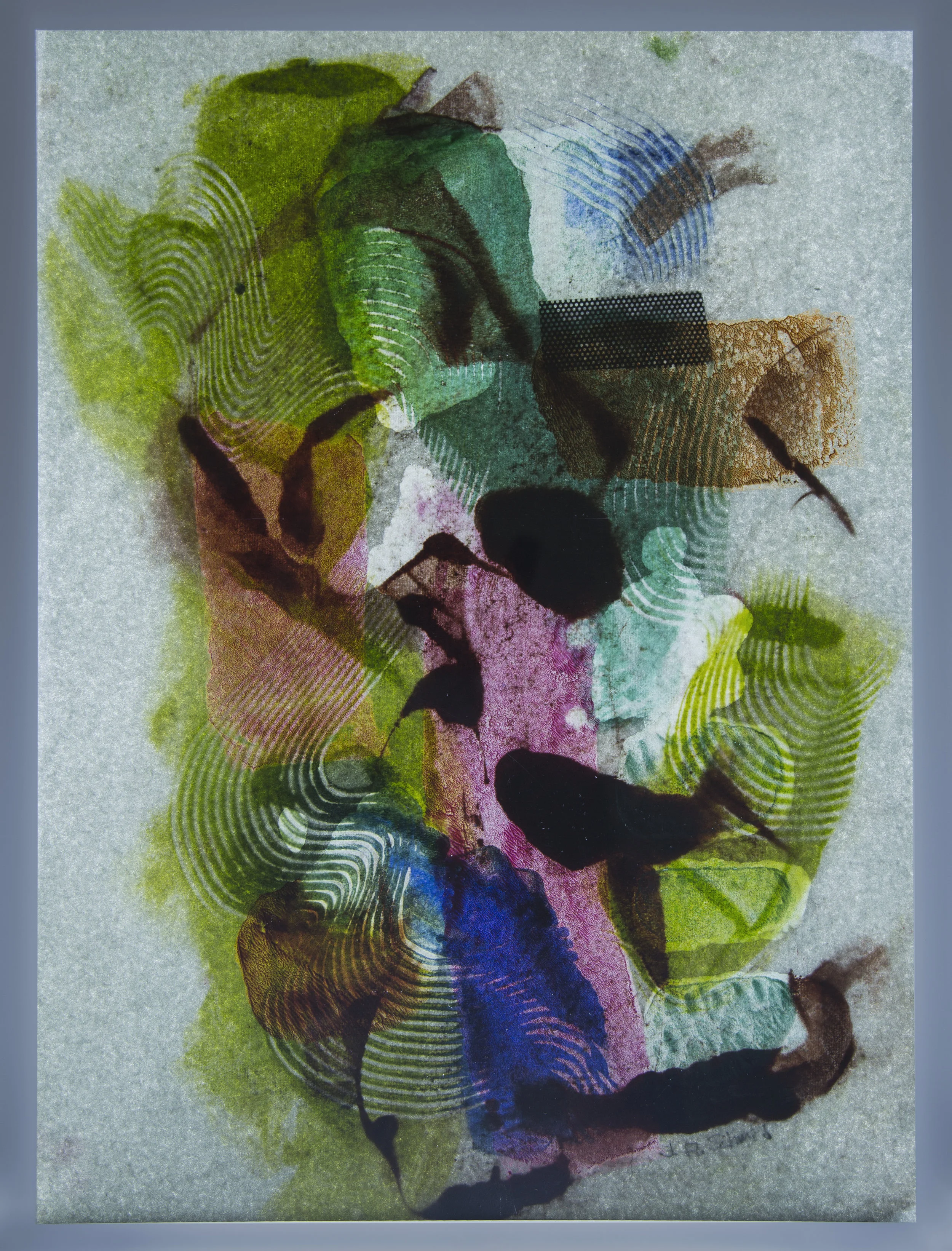 COLOR STUDY #1
