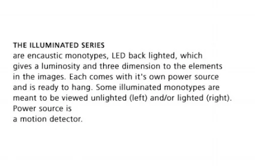 ILLUMINATED-SERIES.jpg