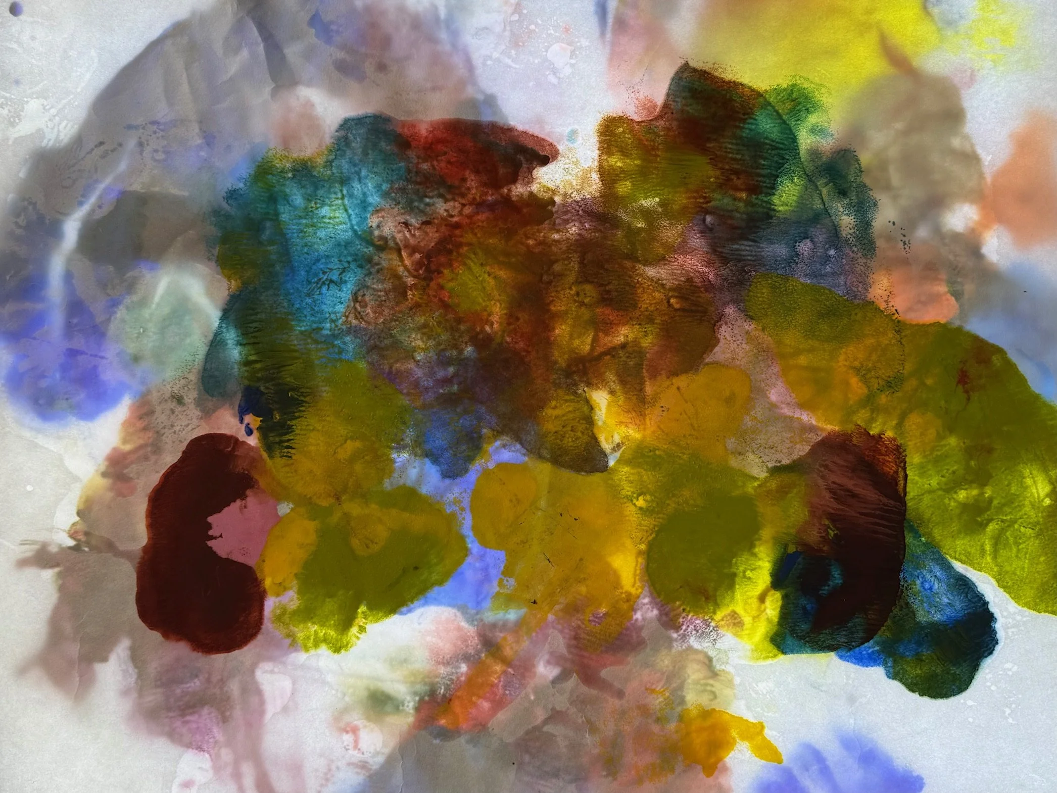 JUDY-SCHMID-FLOWER-BOMB.jpg