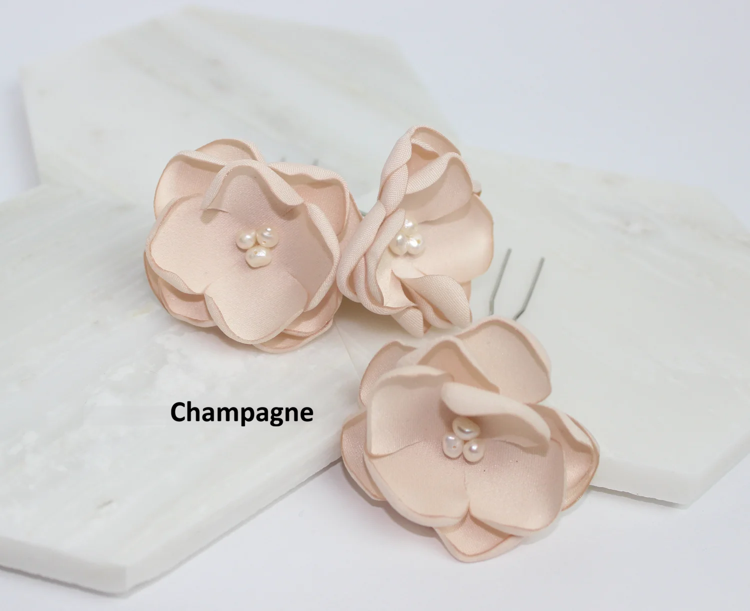 champagne+u+pin.png