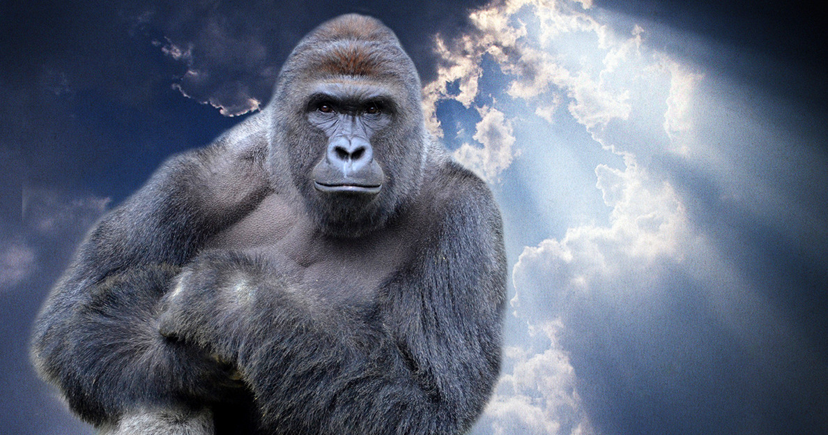 The purpose of this glorious pic will make sense in a moment. RIP. (Image located here )