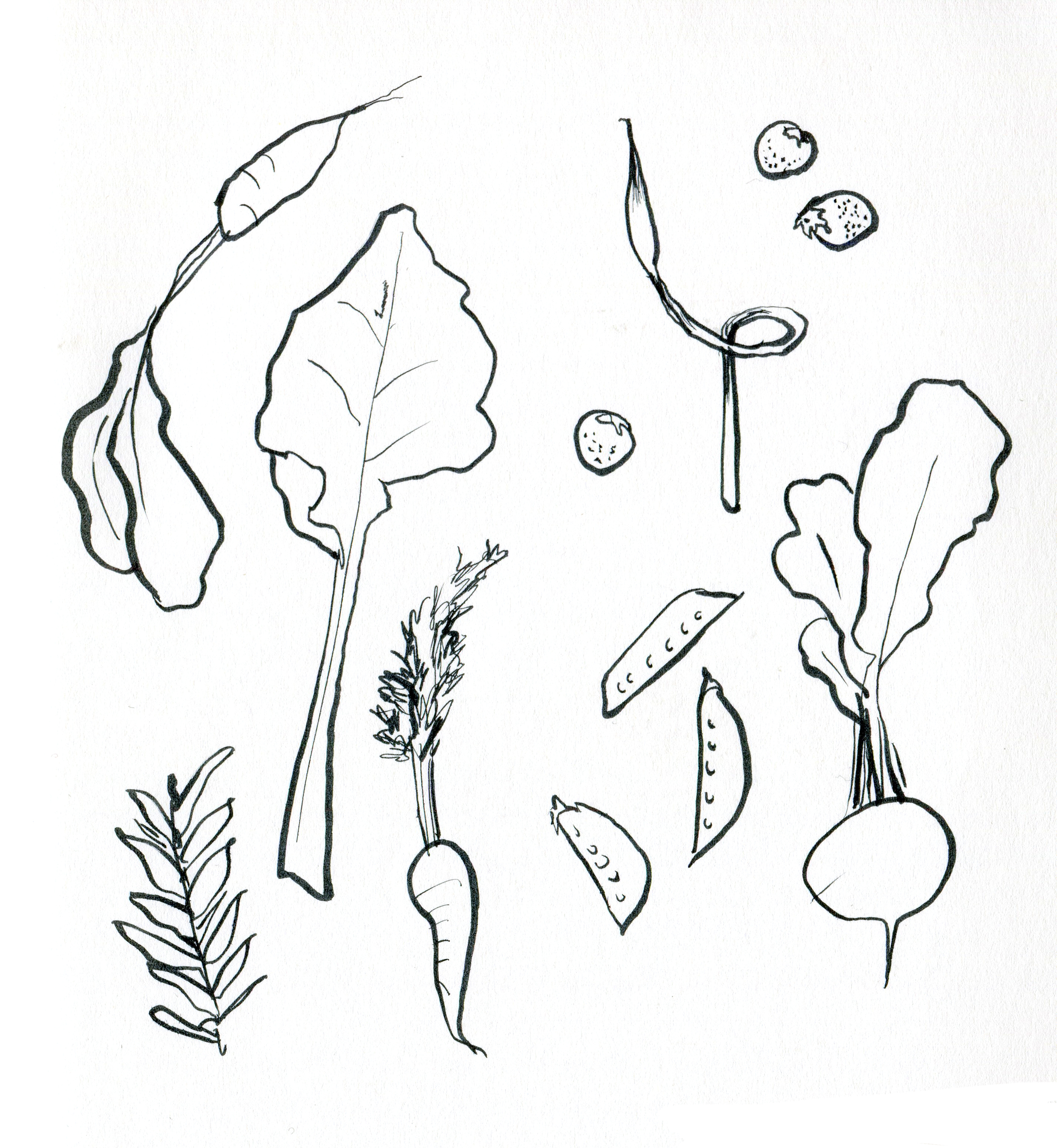 LL_illustration096.jpg