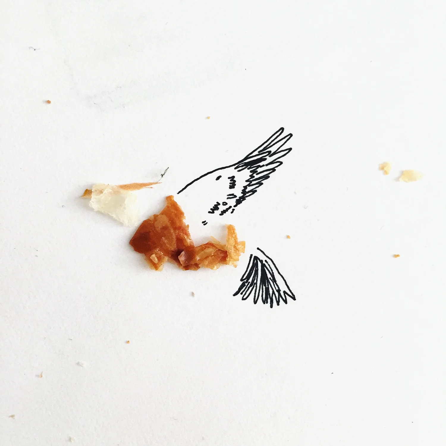 LillyLam_birdcrumbs.jpg