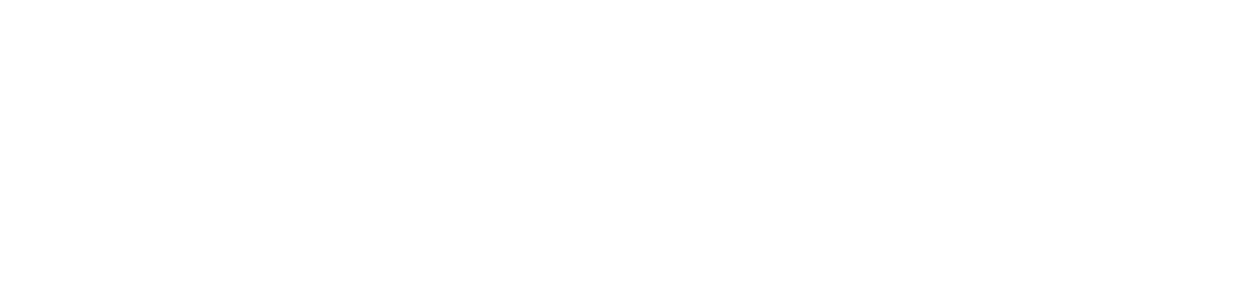 Xcel.png