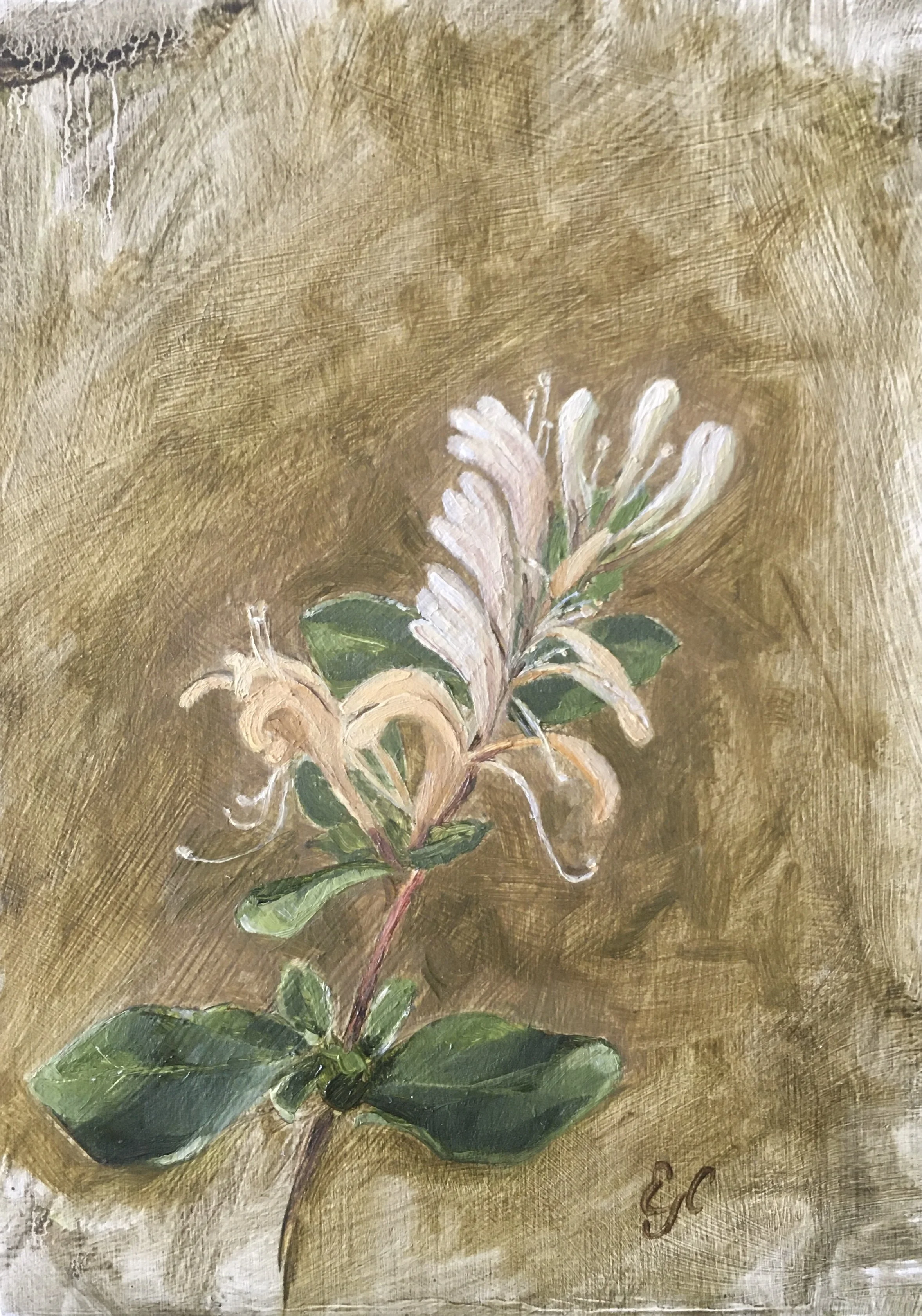image0 (3).jpeg