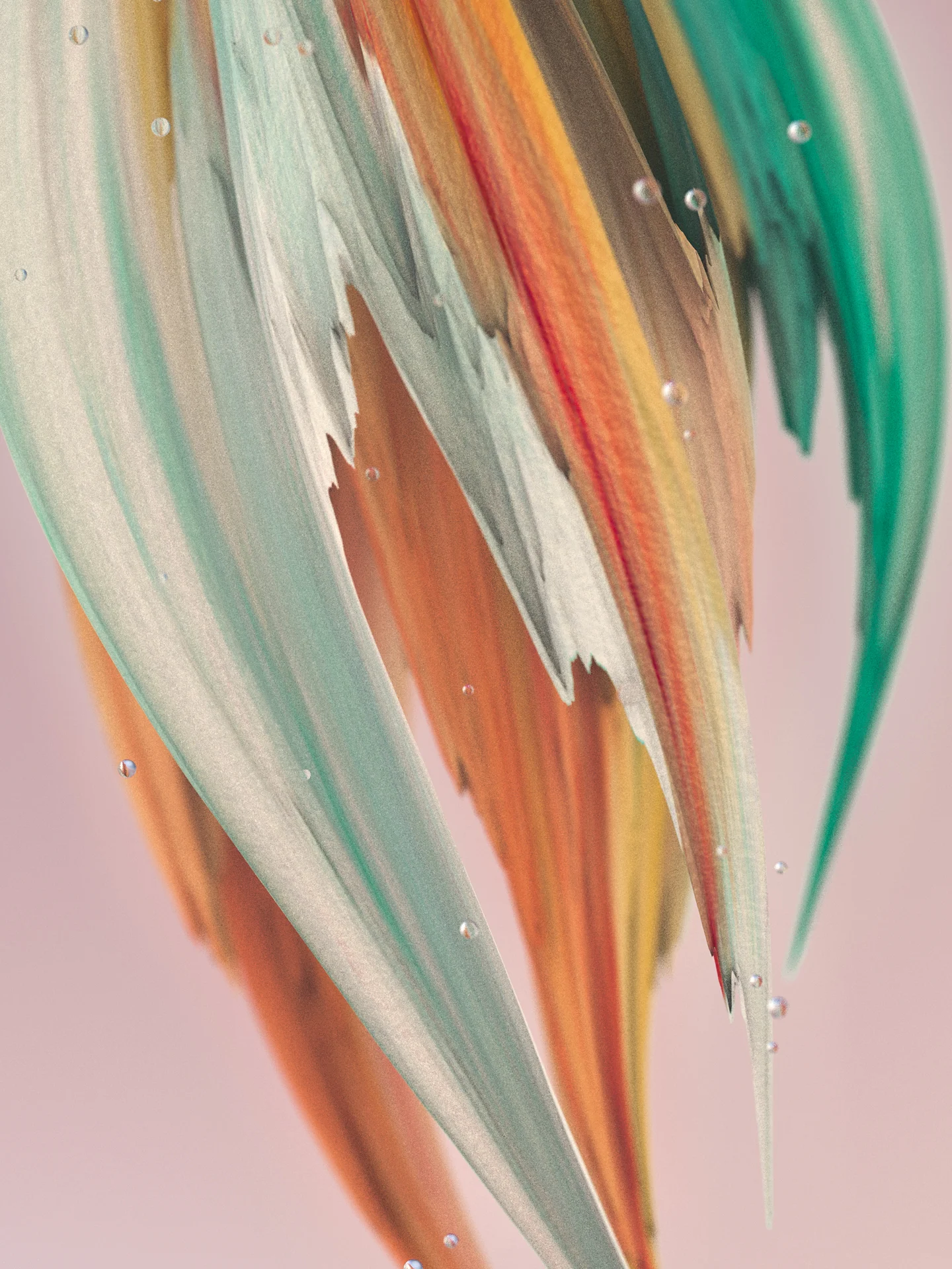 SplineWrap3.jpg