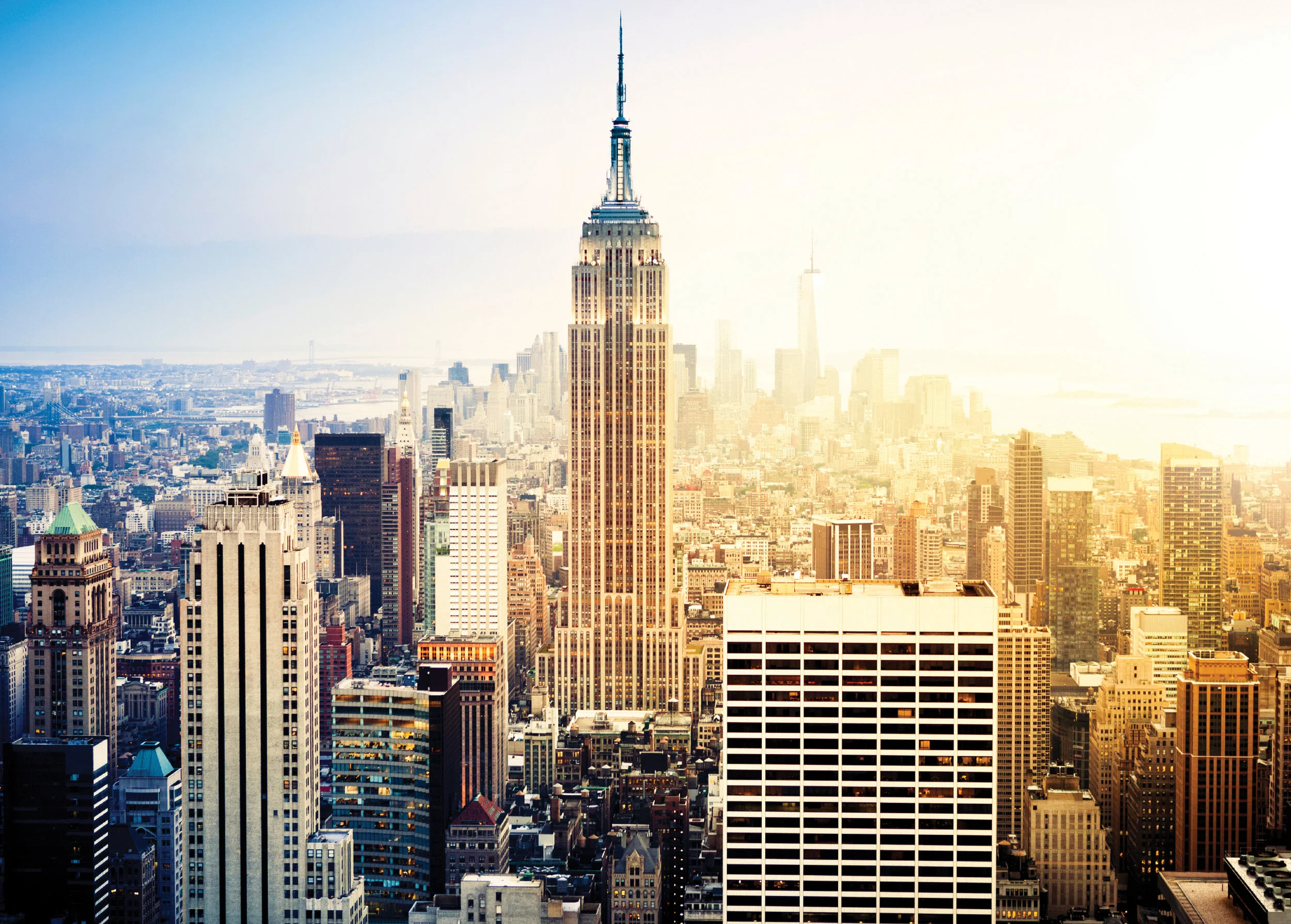iStock_000027180622Large.jpg
