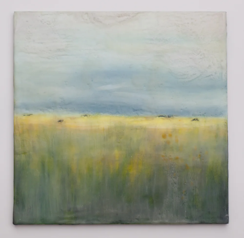 Davenport Landing Study