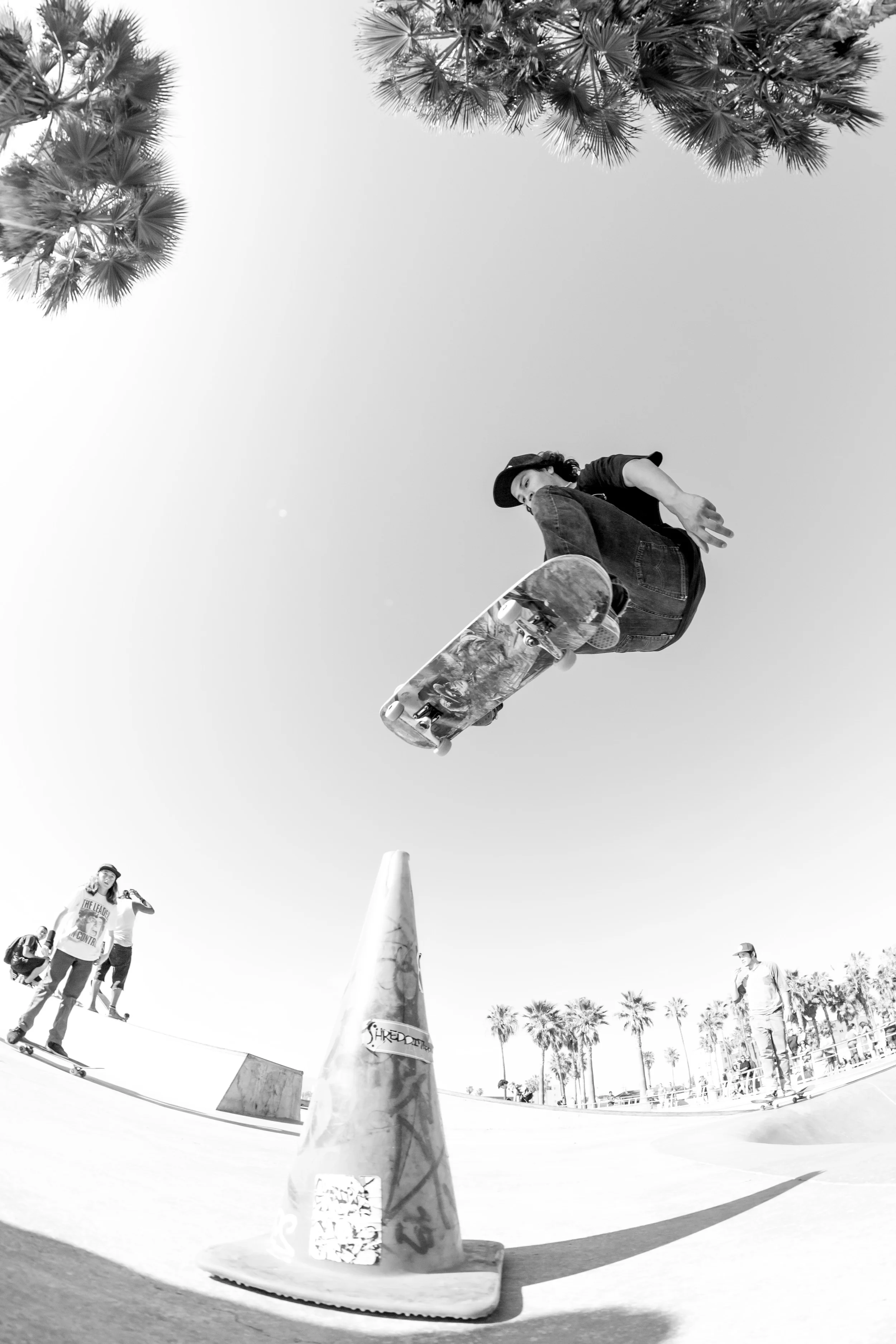 COBI | Ollie | Venice Beach, CA