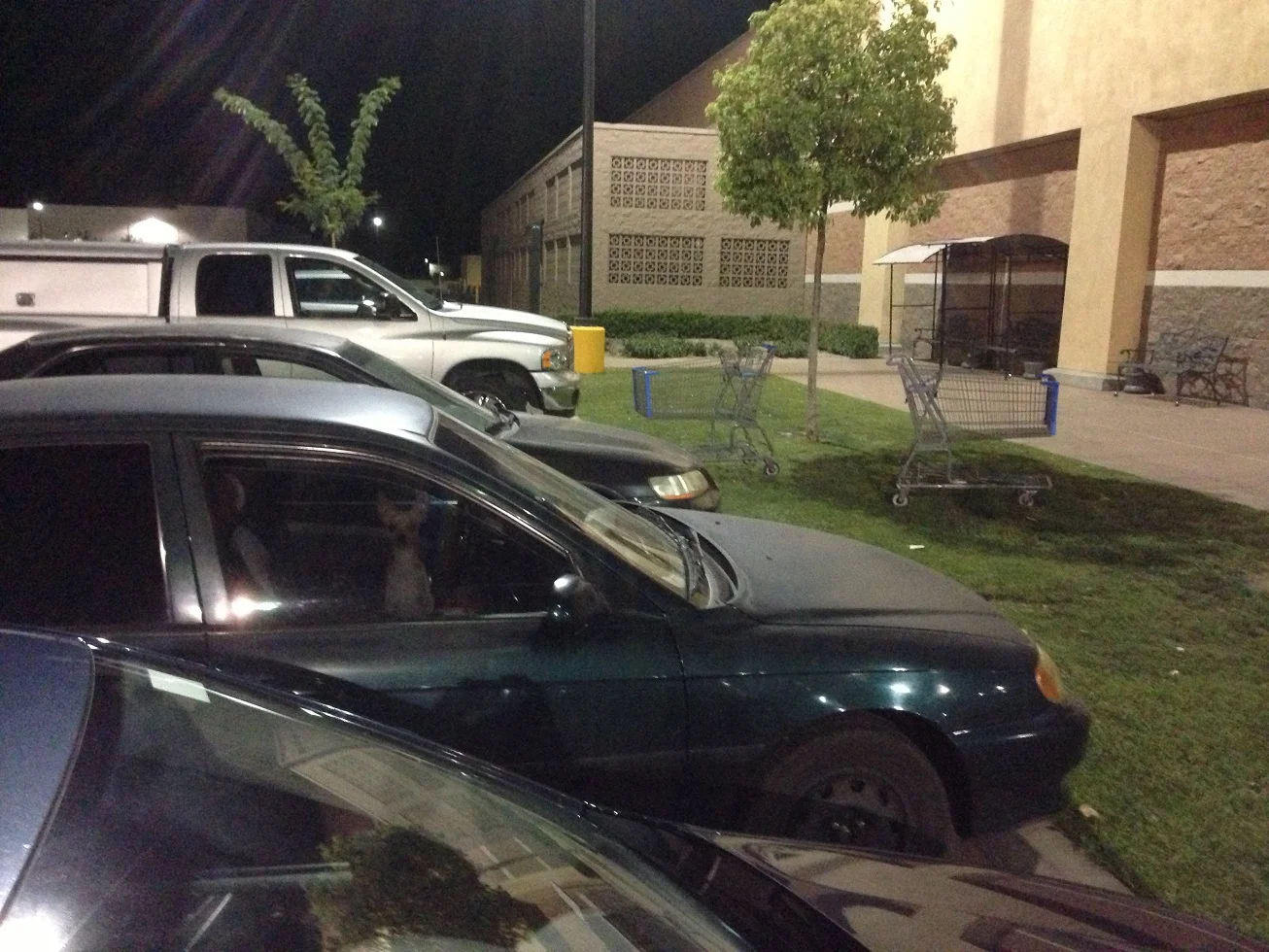 Dog in car 10 small.jpg