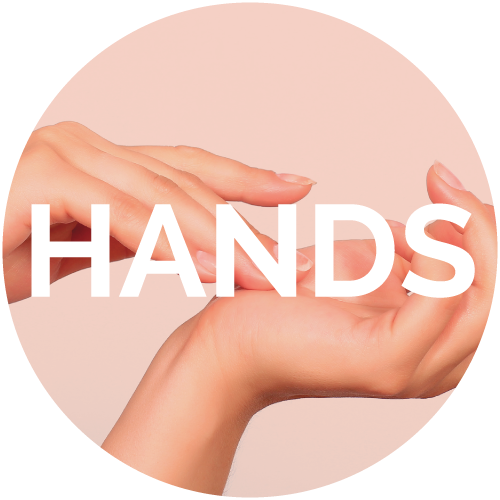 HAND ANATOMY