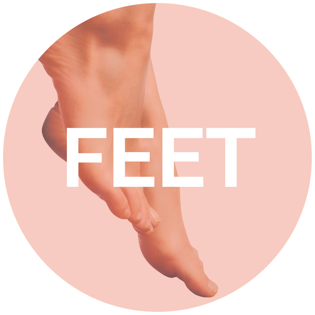 Feet anatomy