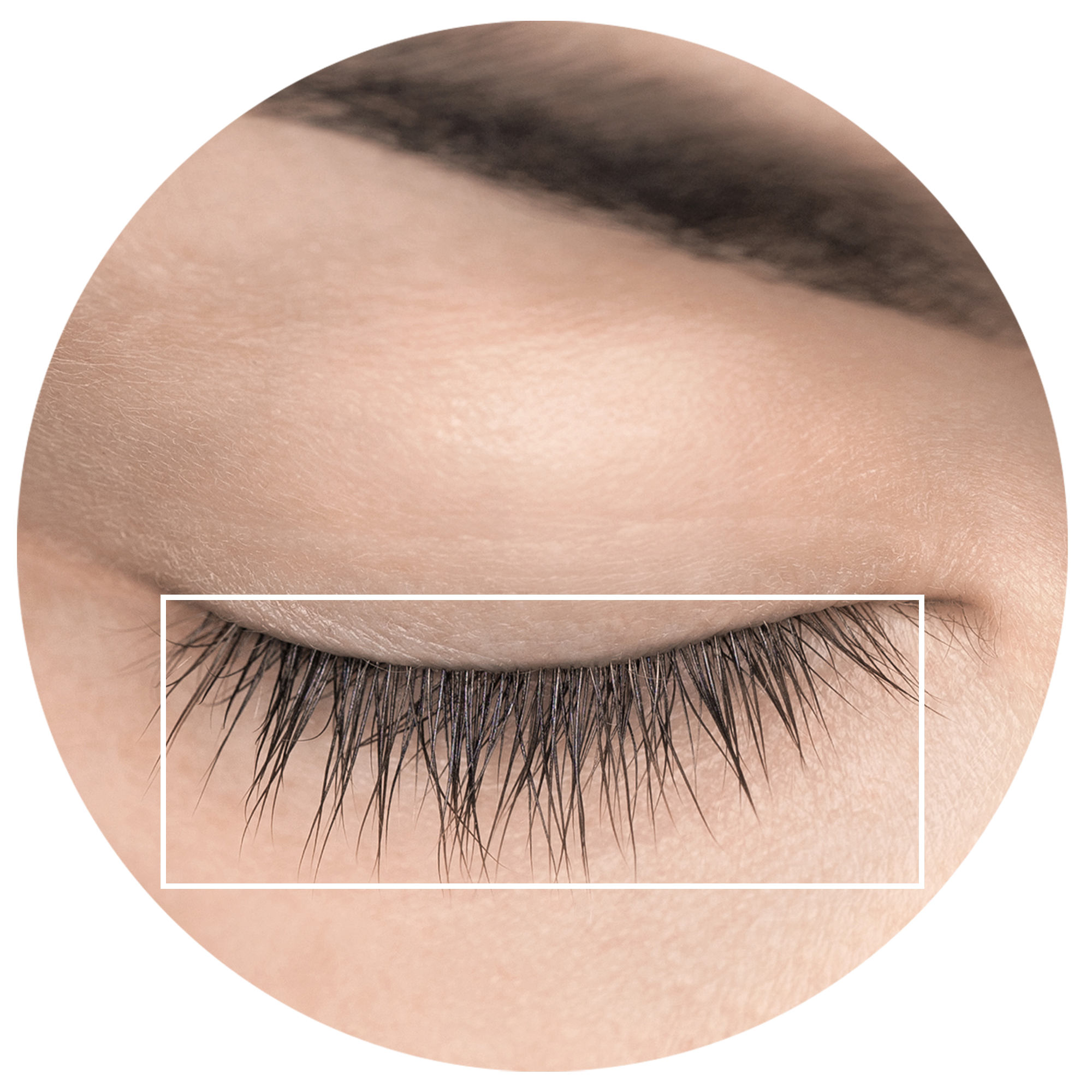 BREAKING, FINE, FRAGILE LASHES?