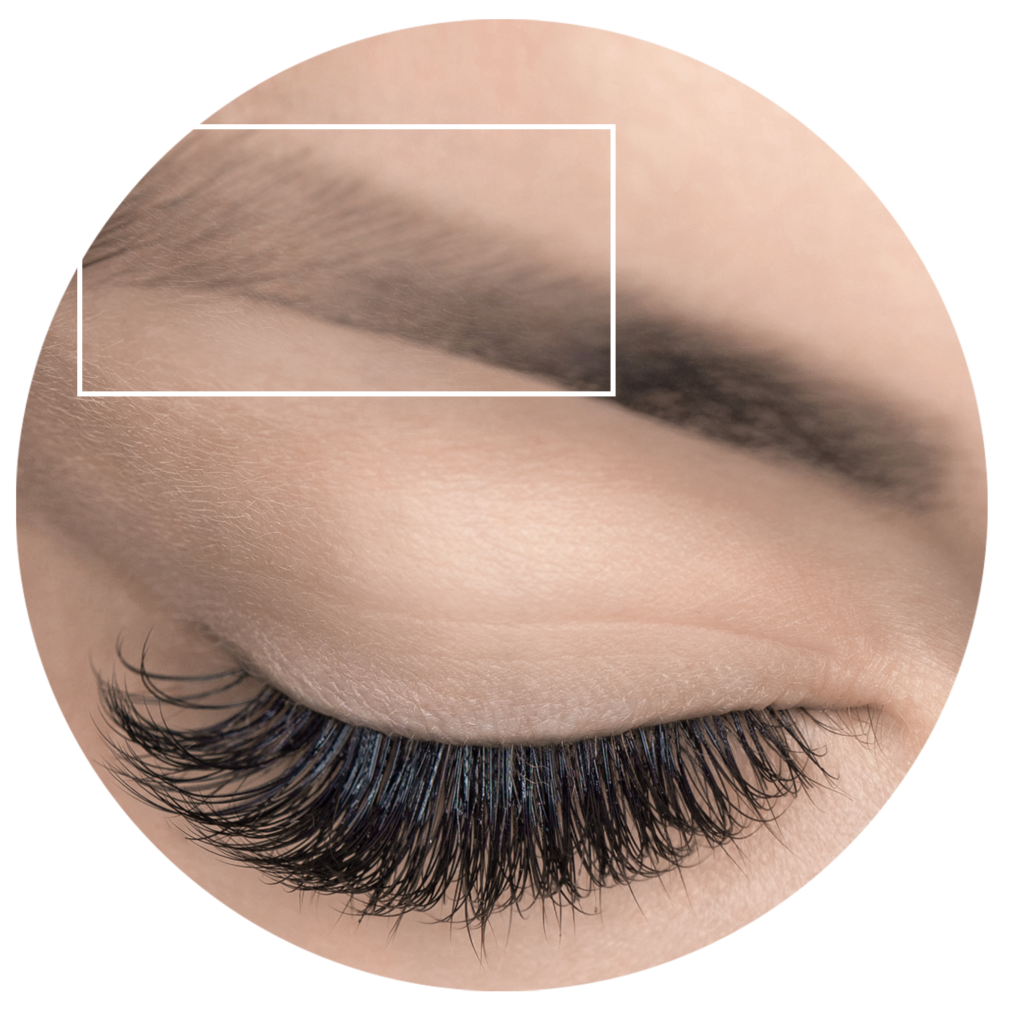 SPARSE OR TOO THIN EYEBROWS?