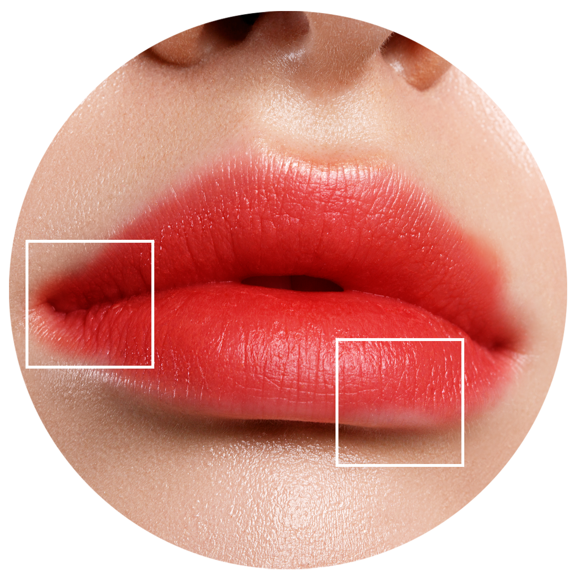 LIPSTICK WHICH DOES NOT LAST OR SMUDGES?