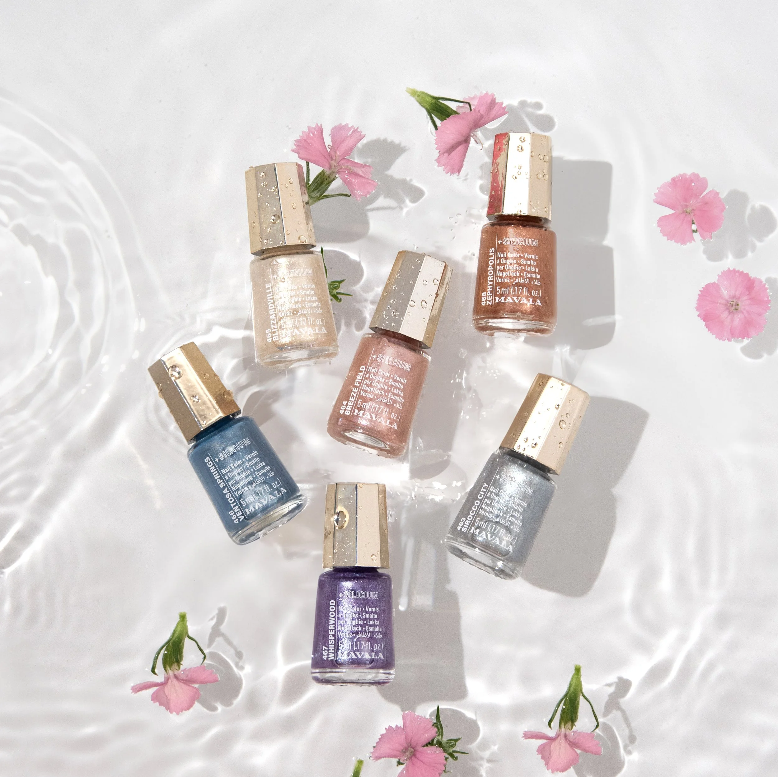 Whisper Collection with flowers.jpg