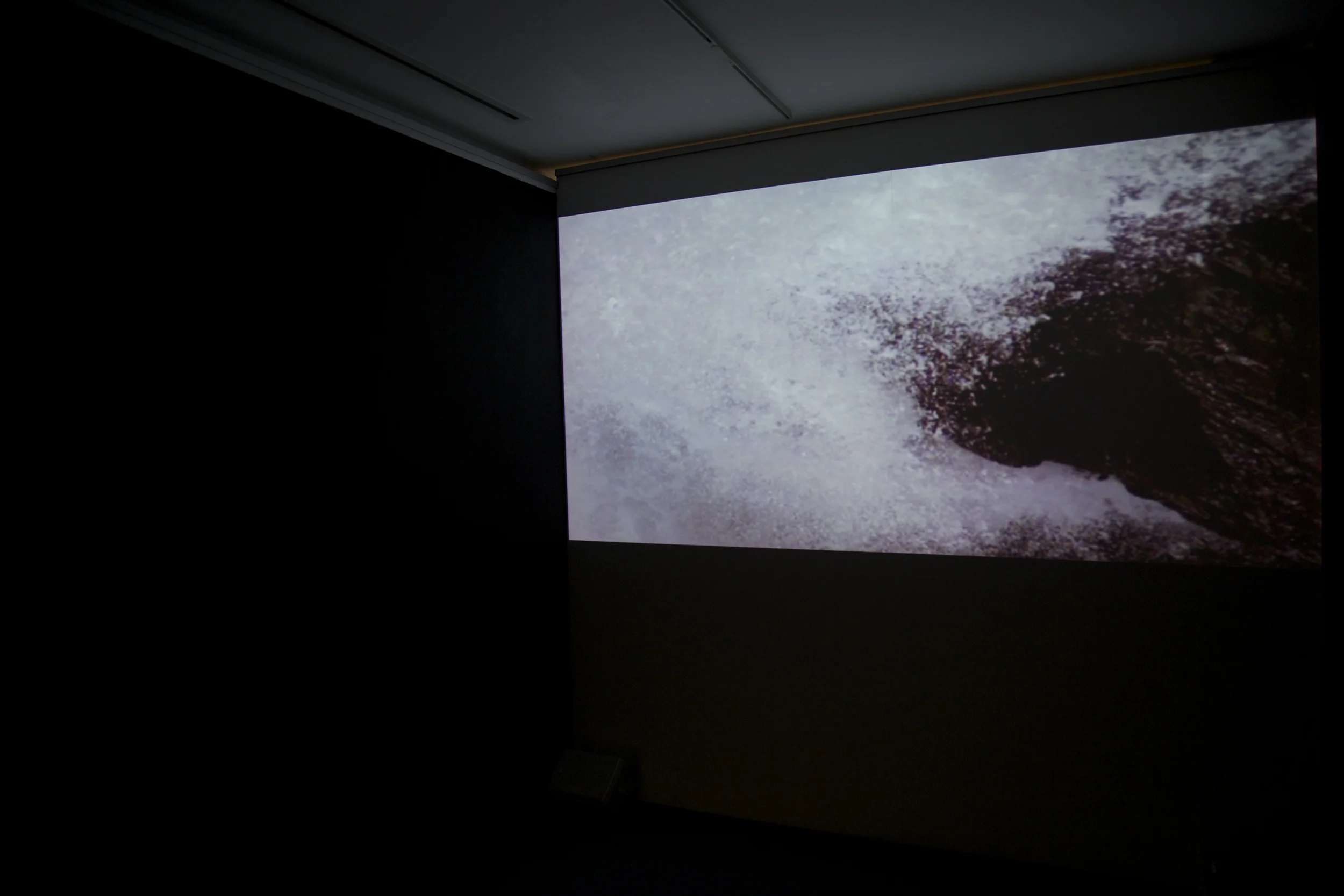 Becks Fusions, 2007, Clare Langan. Also exhibited was Propeller, 1999 by Langan - a work commissioned by The Ark and part of its collection. 