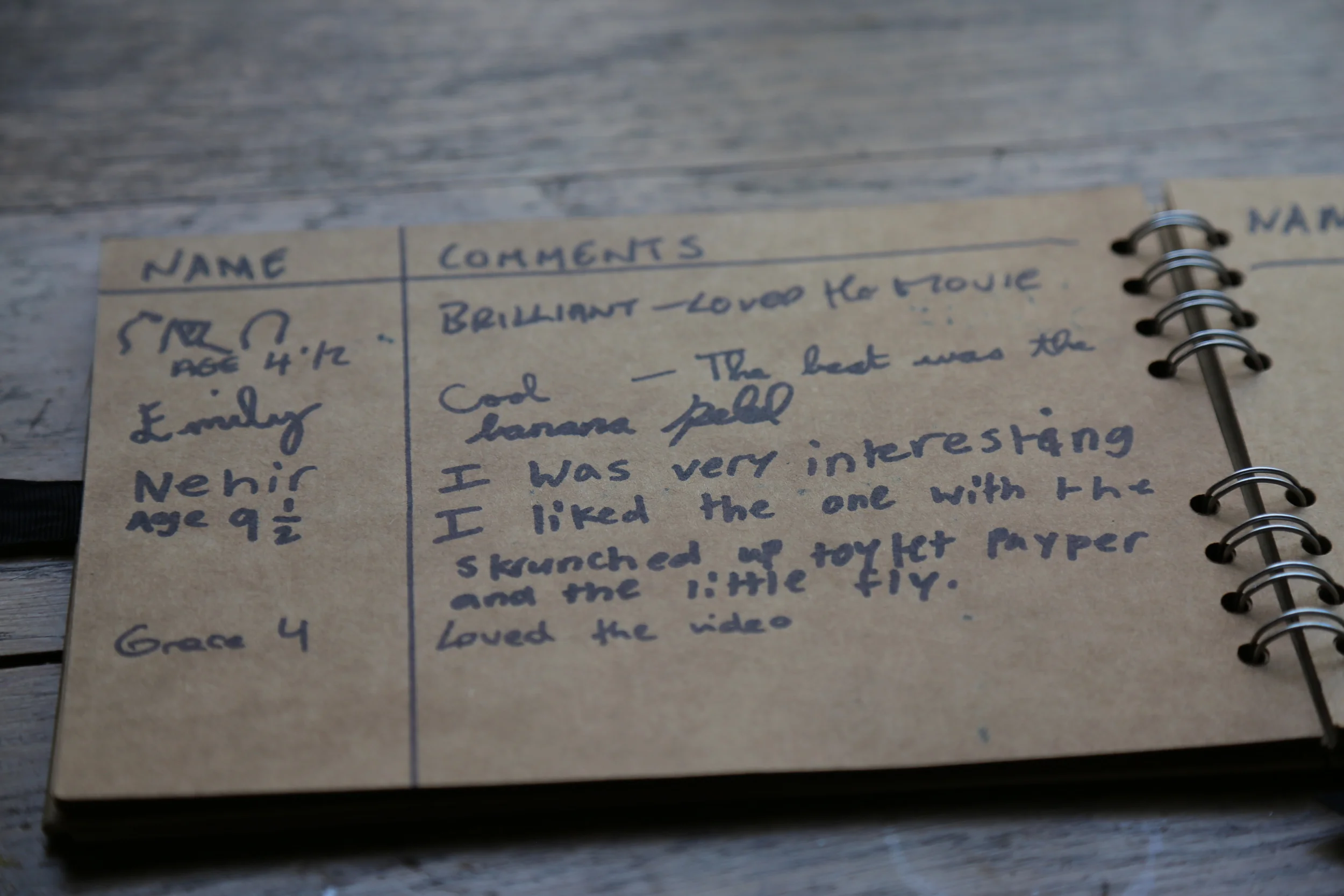 Comments book 1.jpg