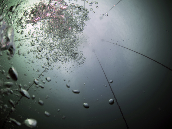 The Pinking on Sea, 2014, Underwater installation, chains, bouys, anchors, Ruth Lyons. Kinsale harbour, Kinsale Arts Festival