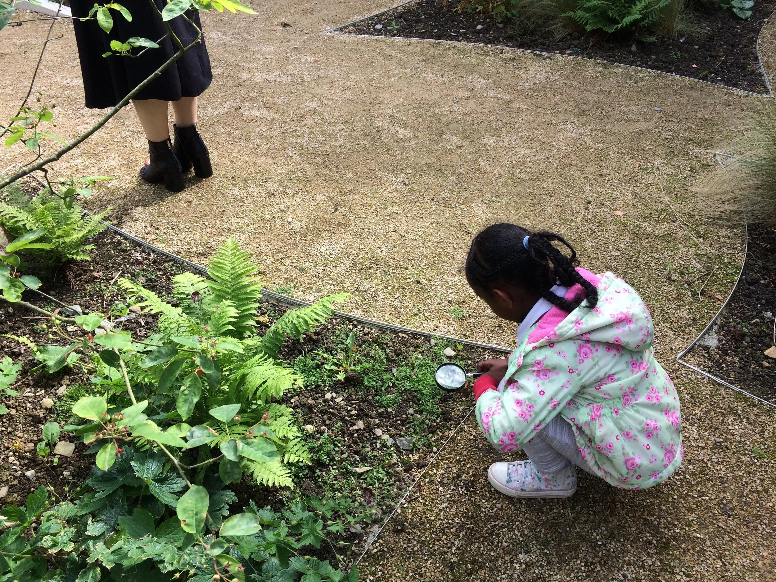 Children used magnifying glasses to look for nature's drawings