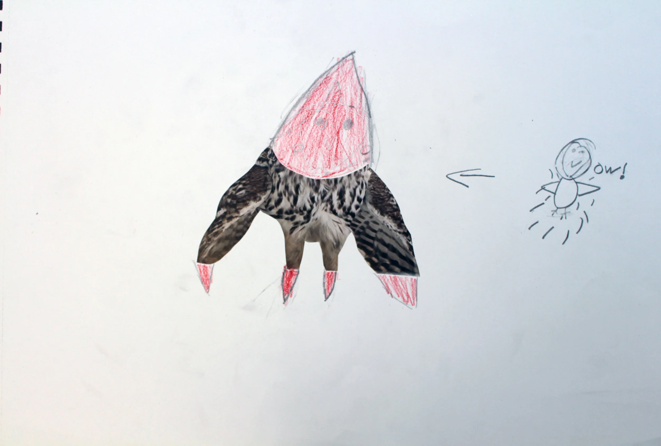  Inspired by the qualities of Star FIsh 