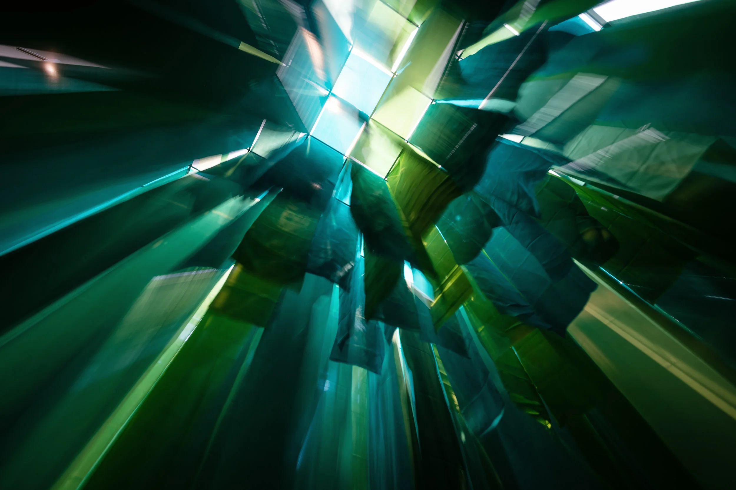 From the interior of Element 1 (green canopy) by Caoimhe Kilfeather. Image by Jed Niezgoda