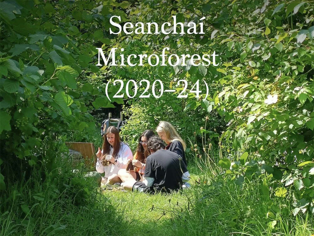 Microforest_BookLaunch_Image.jpg