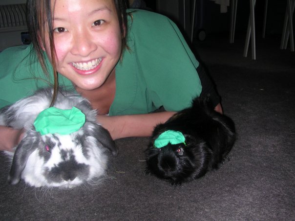 Dr Mops (chashmere lop) Dr Pipsquek (guinea pig) and Dr Song