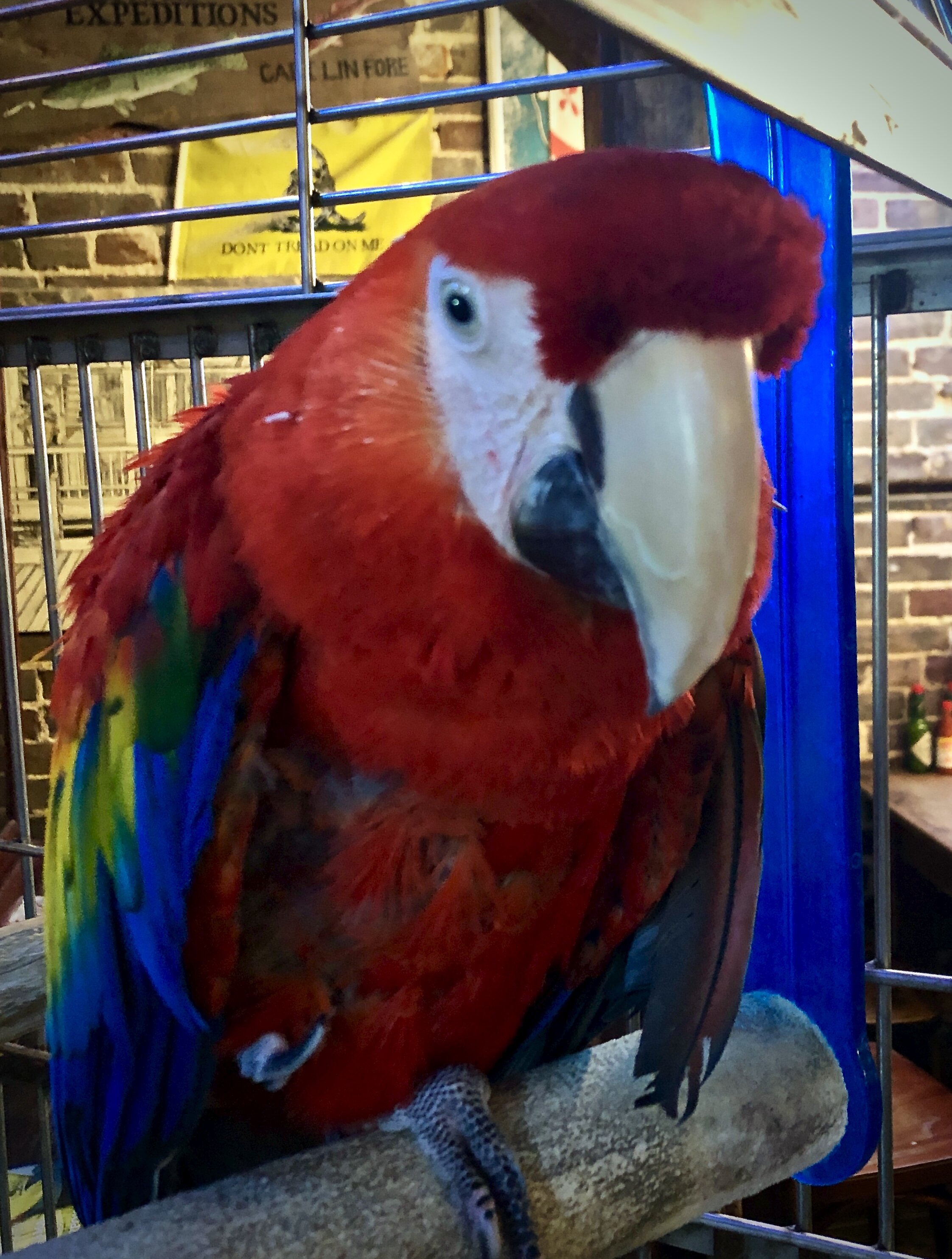 Big Tuna Best Fresh Local Seafood Restaurant SC