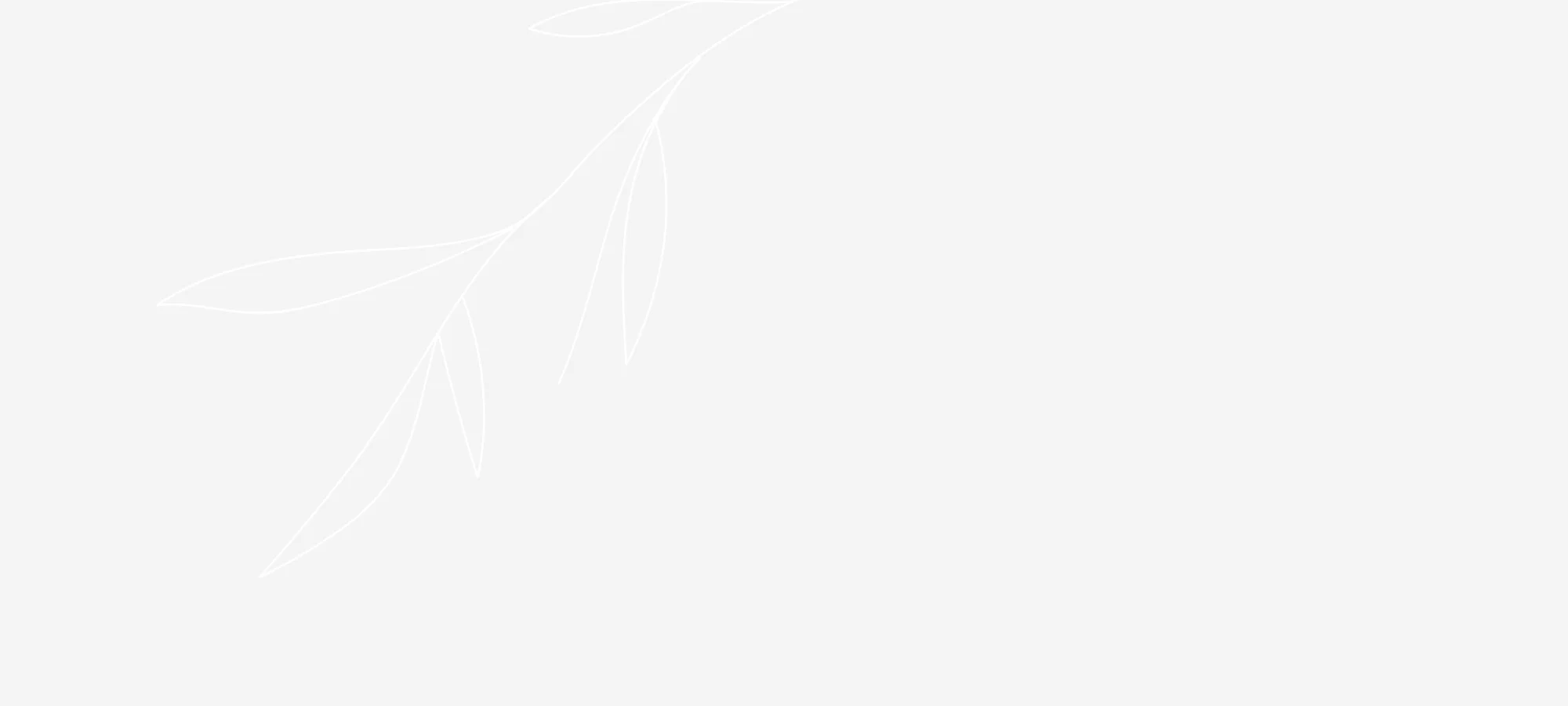 banner6-01.jpg