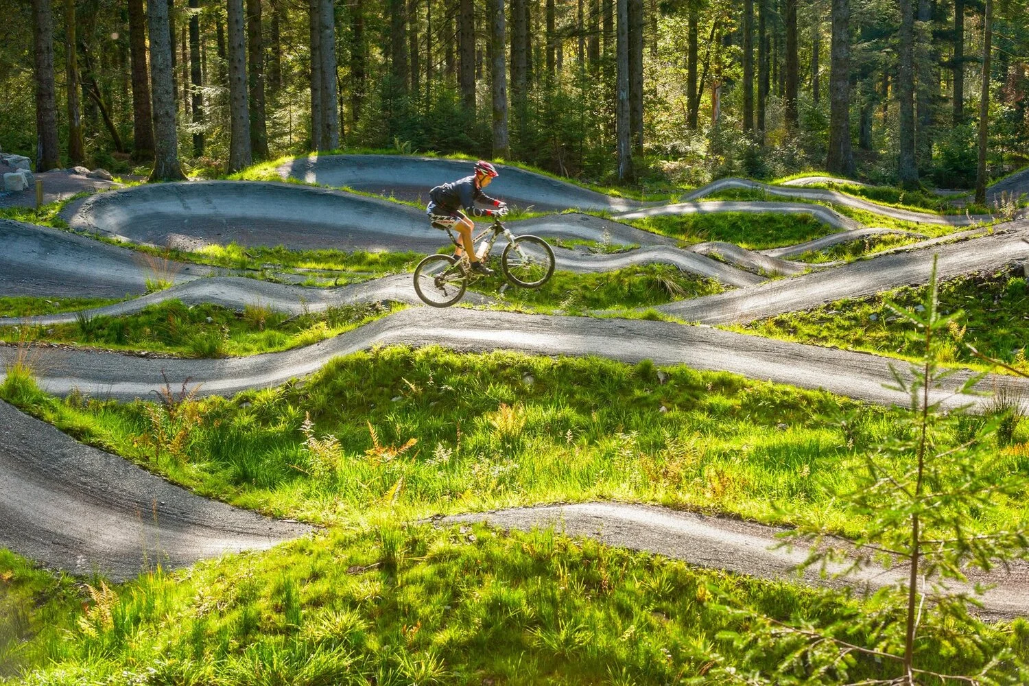 coed-y-brenin.jpg