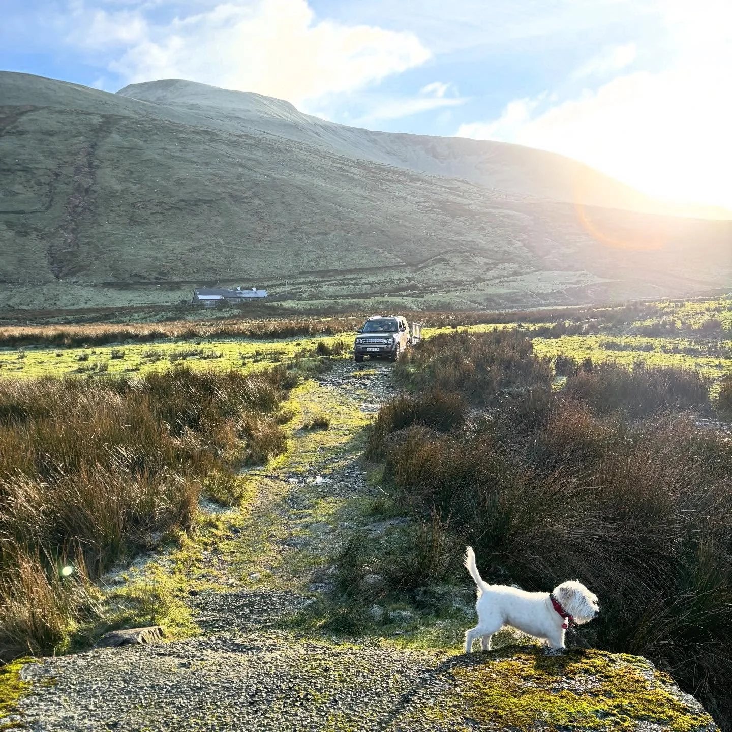 Saying goodbye to our second to last set of guests for 2025 👋. To anyone enjoying Eryri the past couple of days the weather has been incredible, lucky us 😀