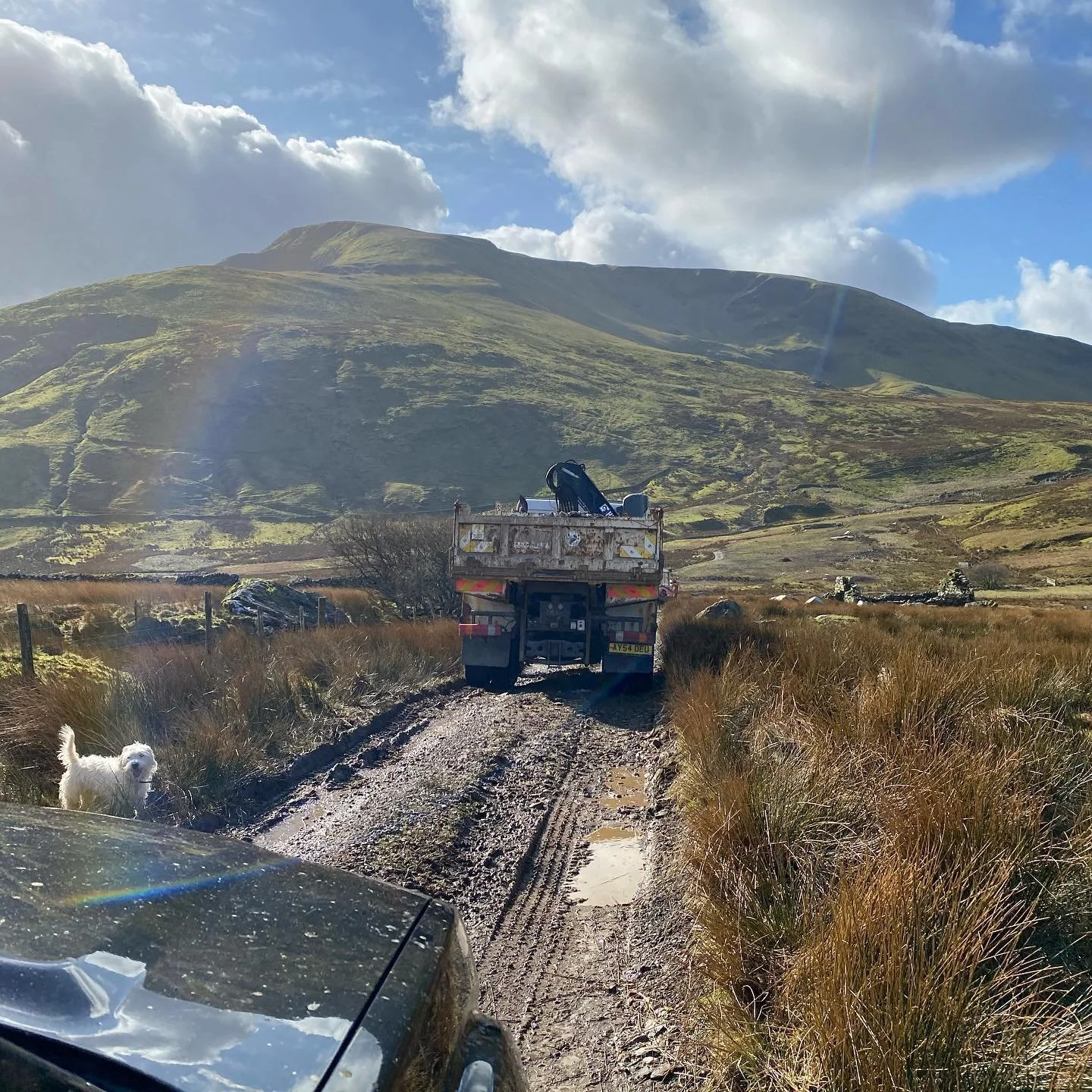 What&rsquo;s going on in the mountains here then? Wrong answers only and the best answer will win some @crashpad_lodges merchandise.......ps - posing pooch🐶
-
-
-
-
#luxurylodge #nationalpark #snowdon #accommodation #sustainableliving #active #lodge