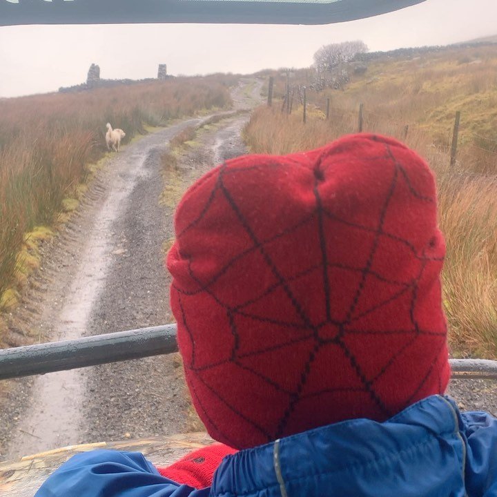 The work load @crashpad_lodges is becoming much easier now that our staff have decided to take our training courses much more seriously 👌🏻😂 
-
-
-
-
#luxurylodge #Nationalpark #snowdon #accommodation #sustainableliving #active #lodge
 #lifestyle #