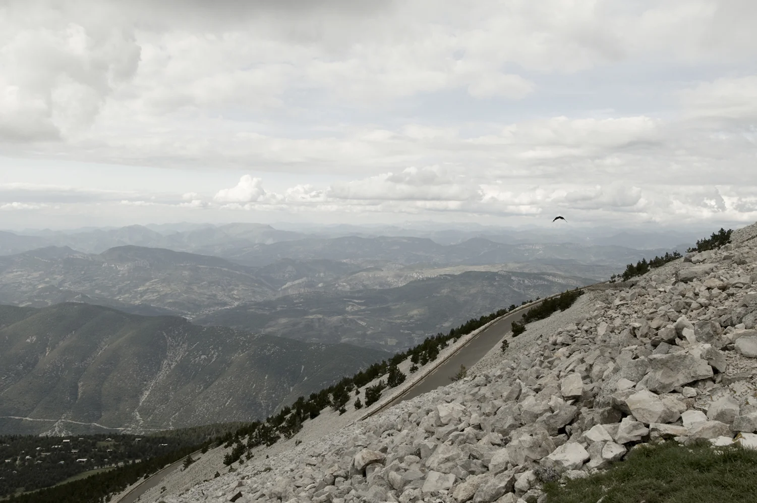 Redgrove_2Ventoux_3_086.jpg