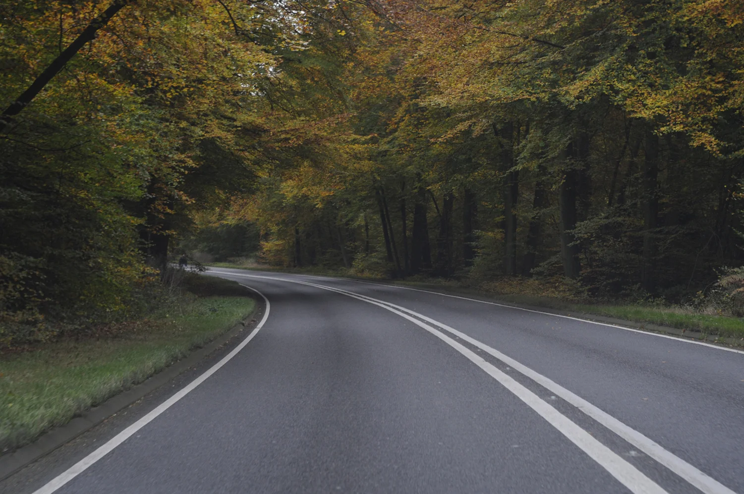 Redgrove_TheRoad_3695_1.jpg