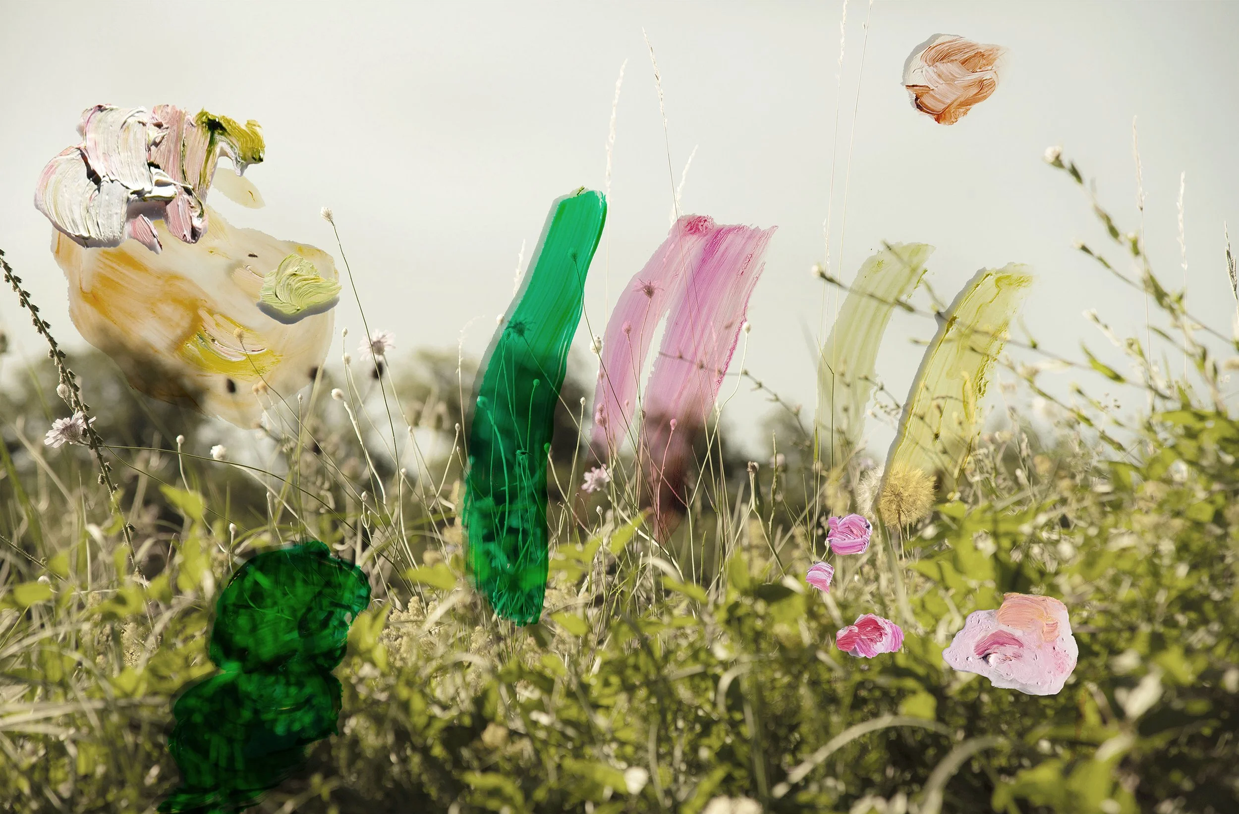 Meadow Notes