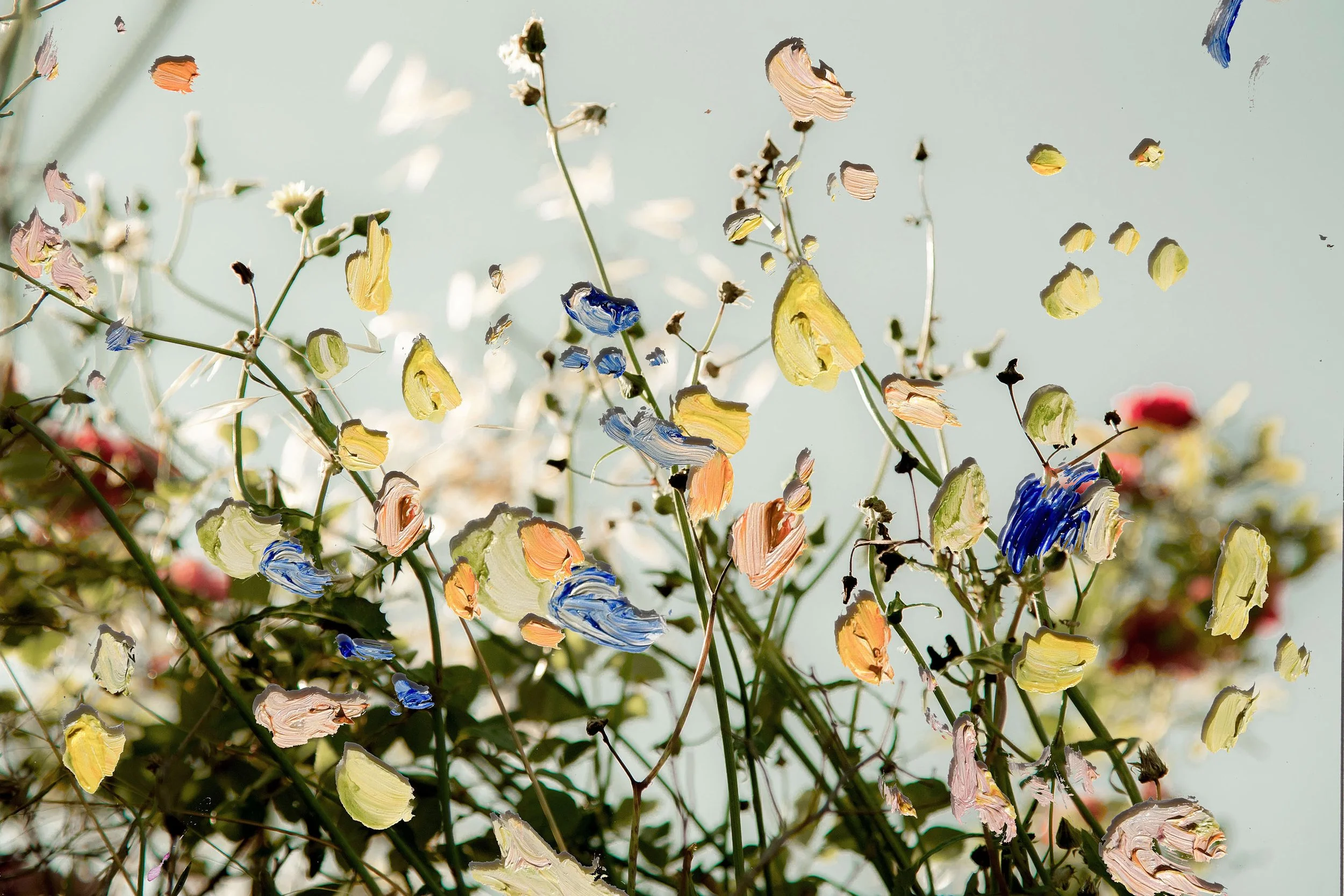 Held in Bloom