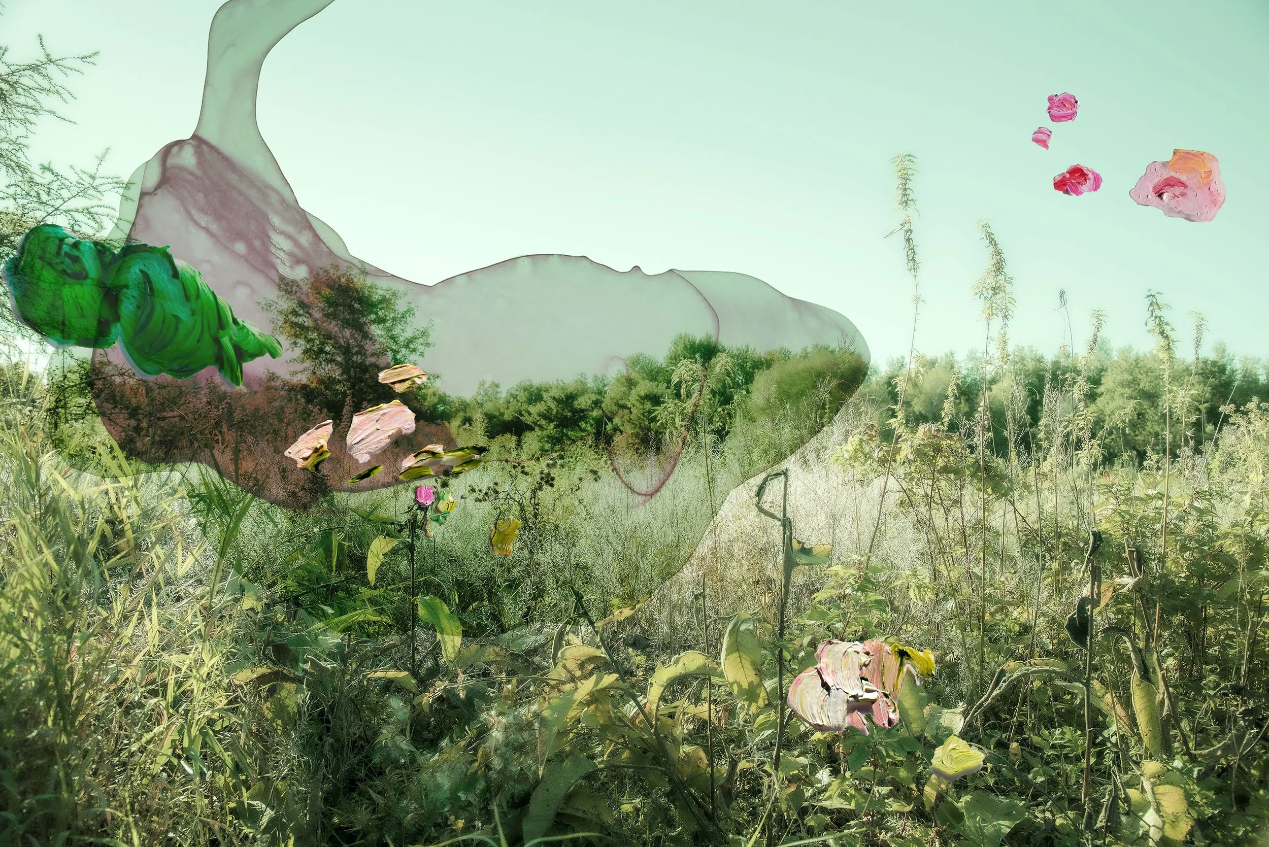 Veil of Summer