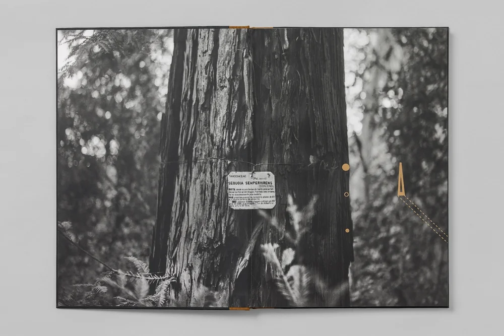 05c M248871_1000X750_72DPI.jpg