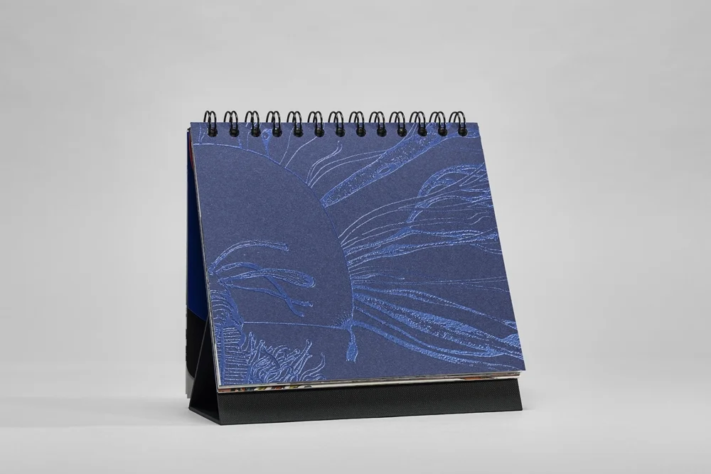 08f M247634_1000X750_72DPI.jpg