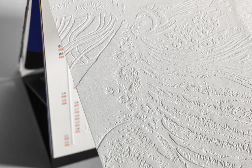 08i M247824_1000X750_72DPI.jpg