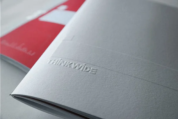 THINKWIDE DETAIL 2.jpg