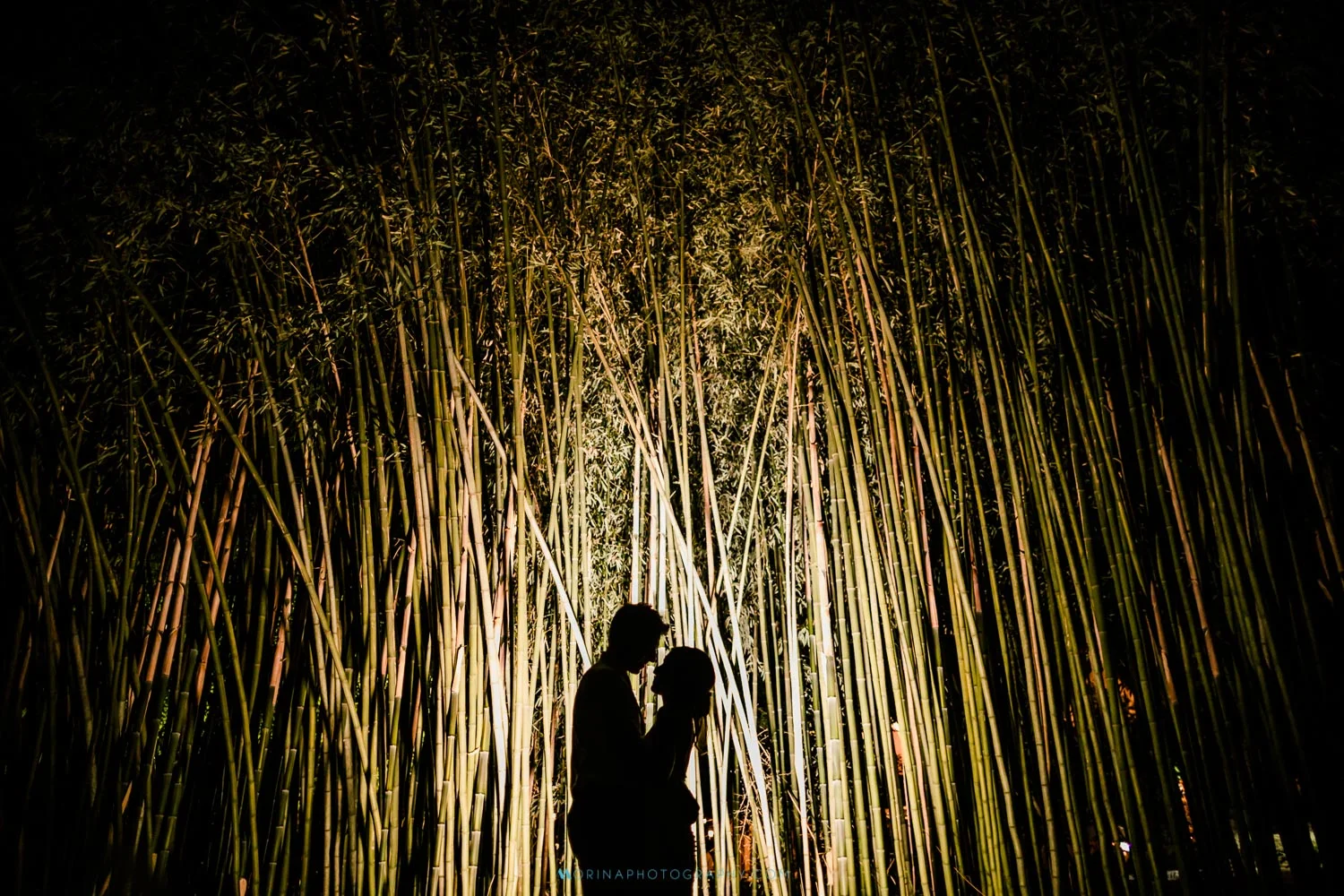 Old Mill at Rose Valley Wedding