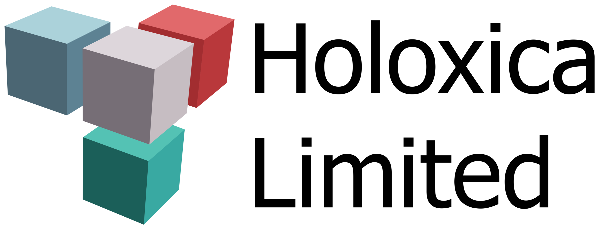 Copy of Holoxica