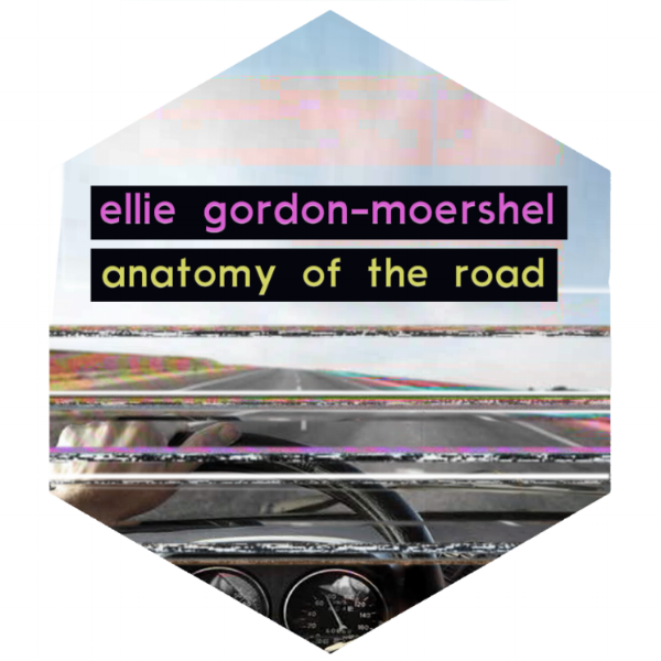 anatomy.png