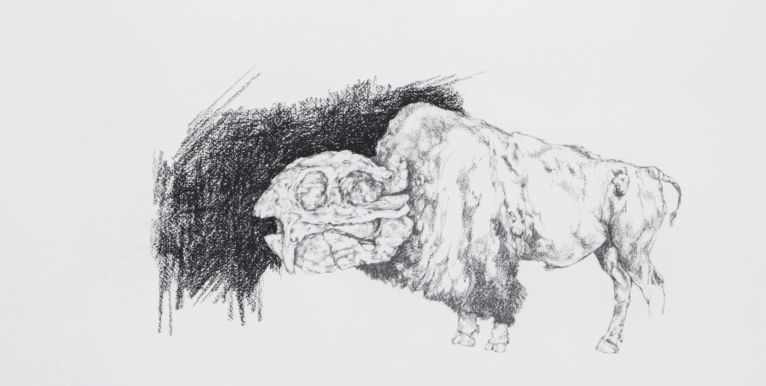 Dicynodon Bison